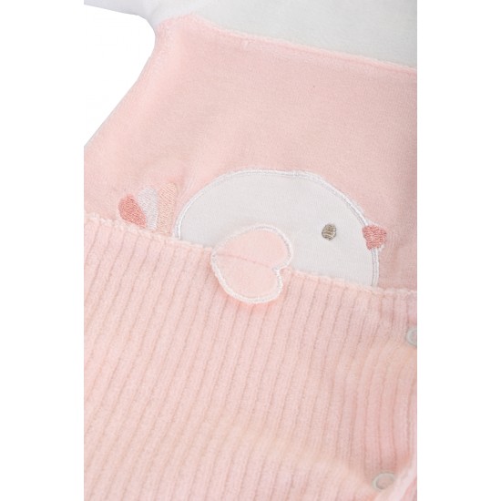 GAYE-2365 - ΣΟΜΟΝ