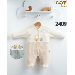 GAYE - 2409 – ΕΚΡΟΥ