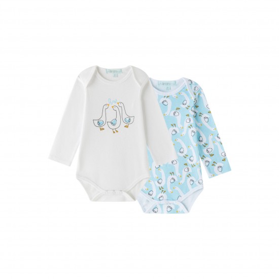 AMOMI-BBI75073-BBI74064-24M