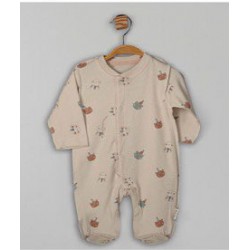 FLEXI-113708-ΓΑΤΕΣ