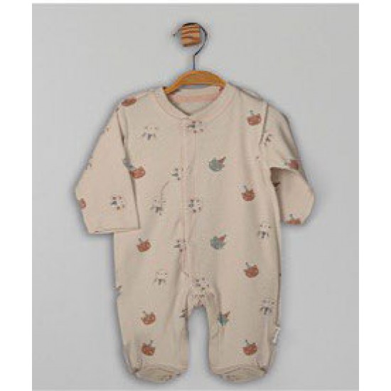 FLEXI-113708-ΓΑΤΕΣ