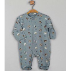 FLEXI-113708-ΖΩΑΚΙΑ