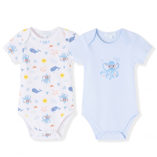 ΑΜΟΜΙ-BBV71162-18M