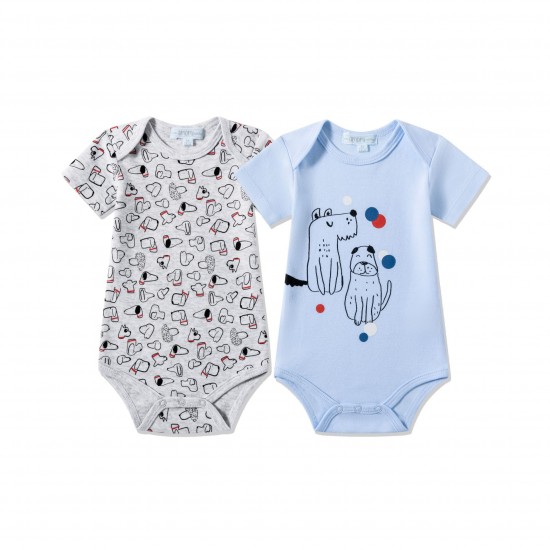 ΑΜΟΜΙ-BBV72053-12M