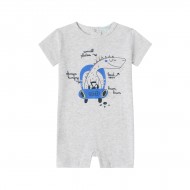 ΑΜΟΜΙ-BBV73034-12M